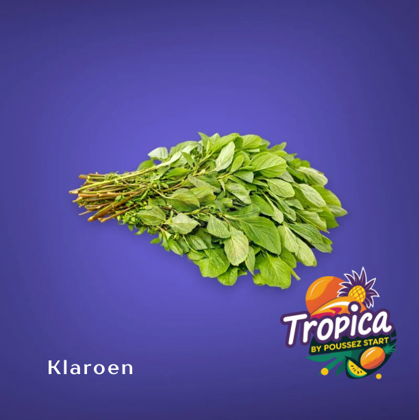 Klaroen