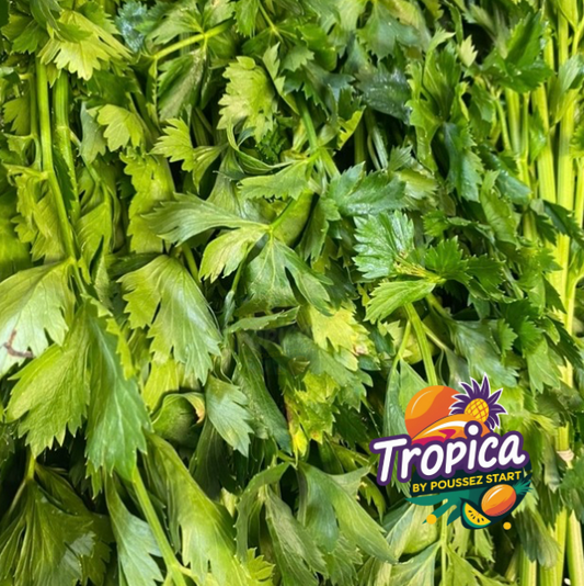 Surinaamse Selderij - Soepoe wirie