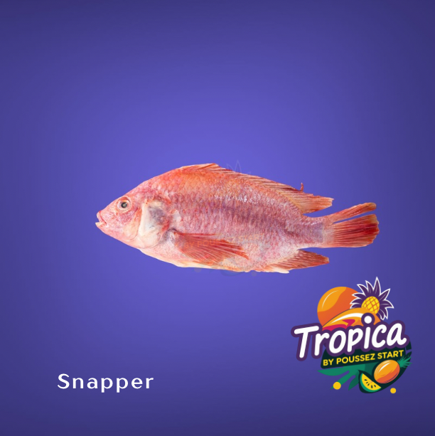 Redsnapper