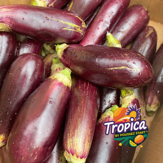 Surinaamse Boulanger – Tropische Aubergine