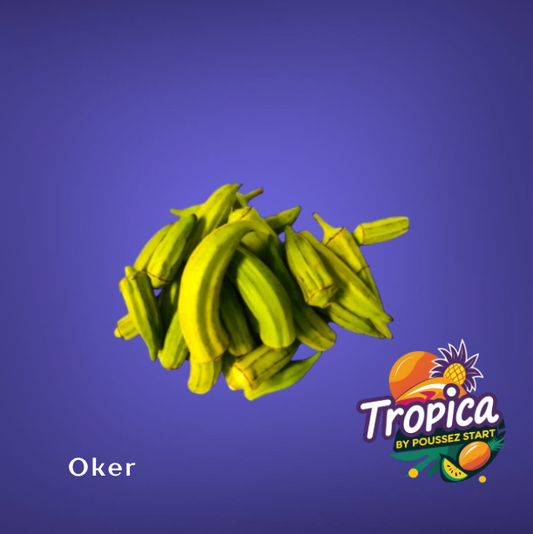 Surinaamse Oker
