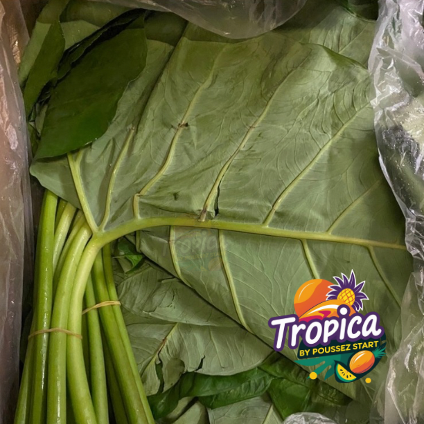 Tayerblad - Callaloo - Dasheen leaf - Feuille de dachine