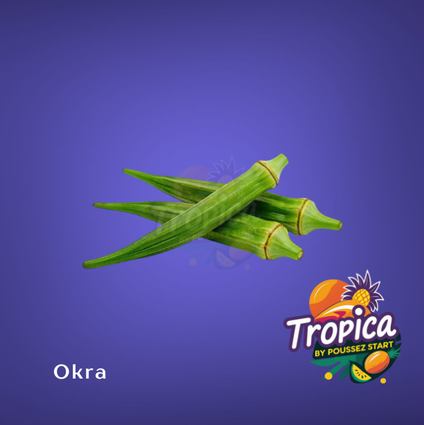 Oker - Lady’s finger - Bhindi - Ila - Quimbombó