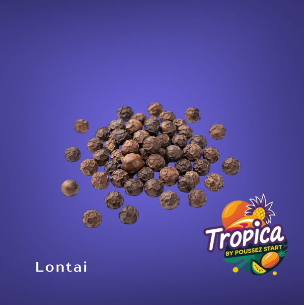 Lontai – Voor extra smaak in elk gerecht