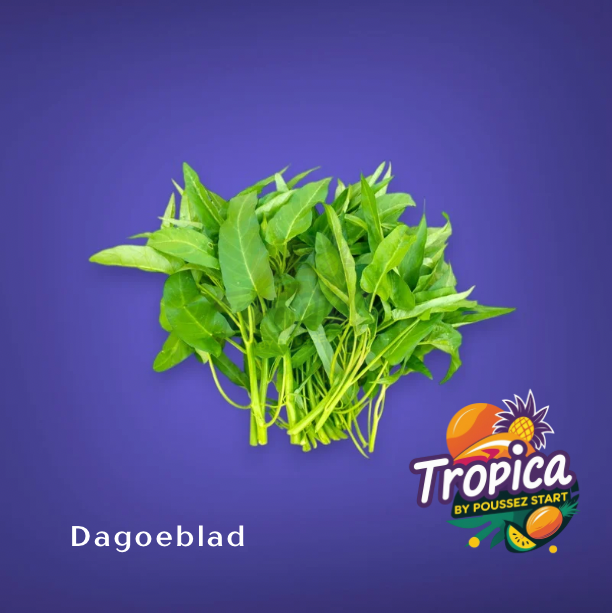 Dagoeblad