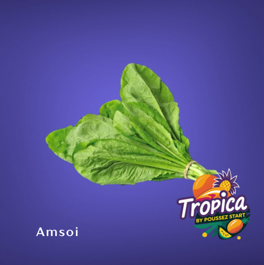 Amsoi Surinaamse groente