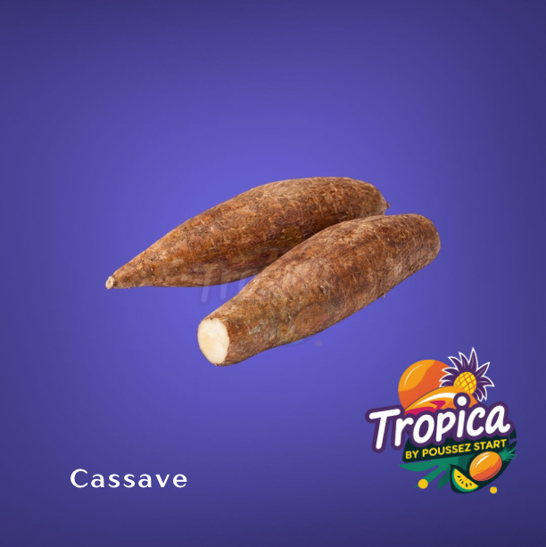 Cassave vers