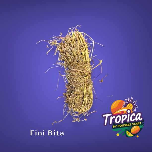 Fijne Bita - Traditionele Surinaamse kruidendrank